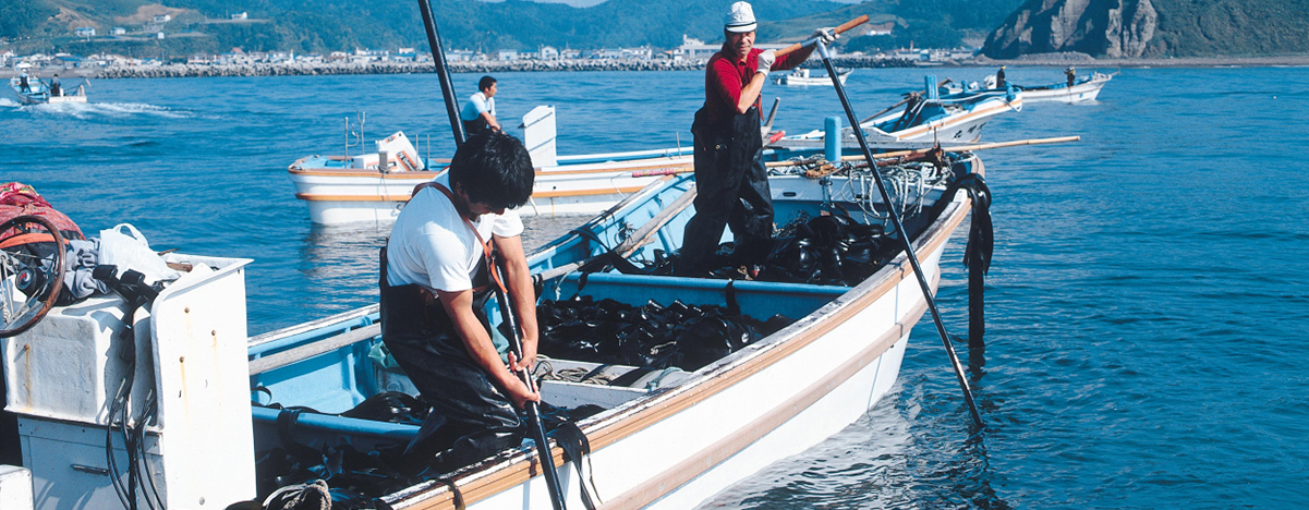 昆布漁 北海道の生産地の写真